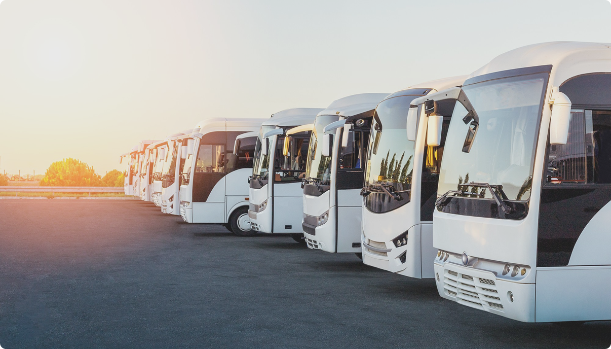 Otobus