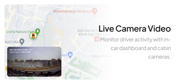 Live Camera Video